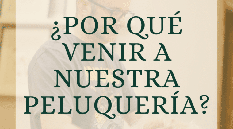 ¿Por qué elegir nuestra Peluquería en Valencia?