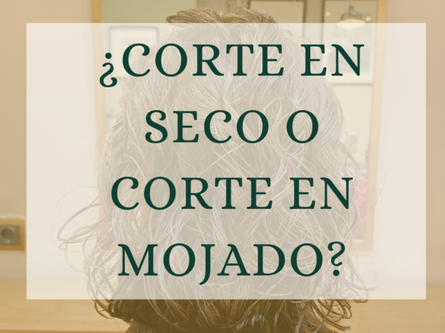 Diferencia entre el corte de cabello en mojado y en seco en Valencia
