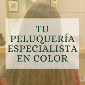 peluqueria especialista color valencia