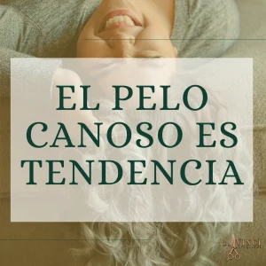 pelo gris mujer valencia