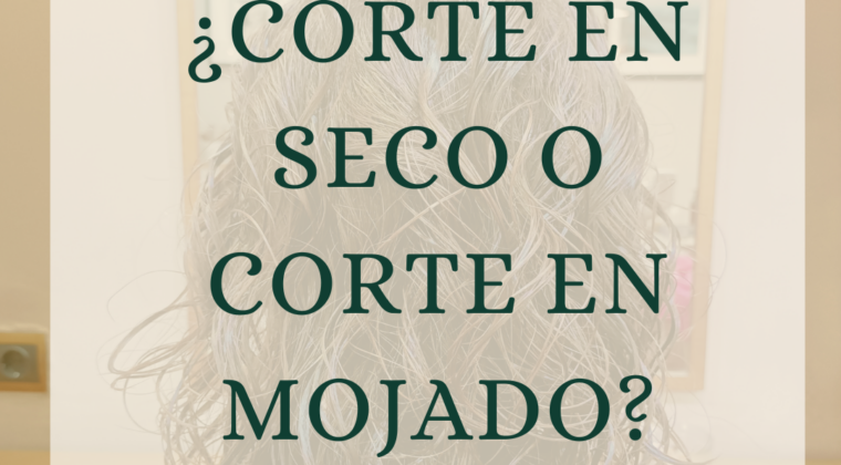 Diferencia entre el corte de cabello en mojado y en seco en Valencia