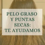 pelo graso puntas secas