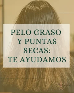 pelo graso puntas secas