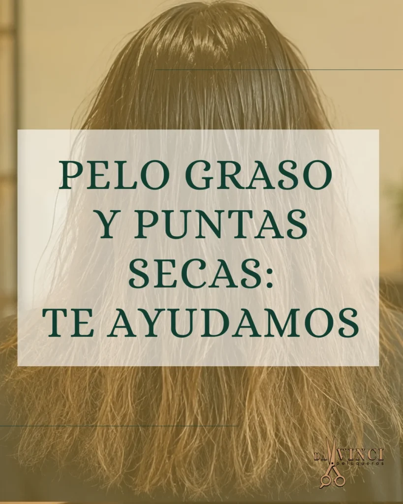 pelo graso puntas secas